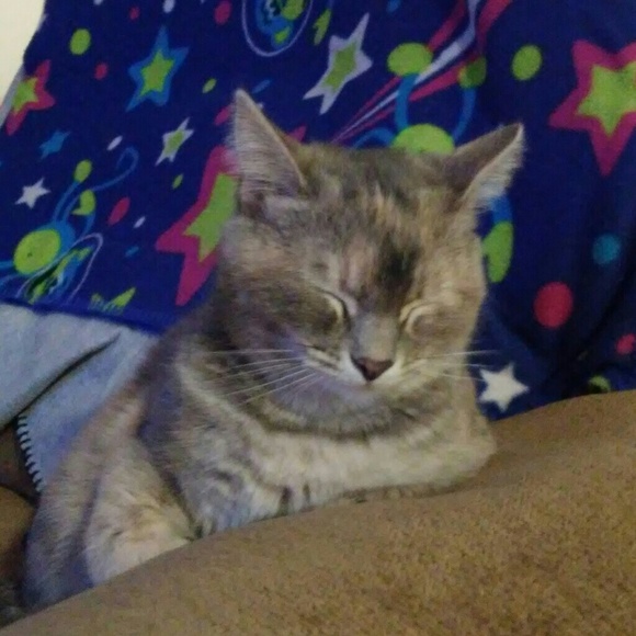 Meet your Posher, Meredith - Picture 1 of 1